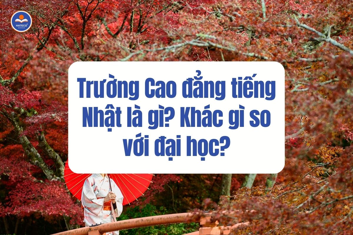 Truong-Cao-dang-tieng-Nhat-la-gi-Khac-gi-so-voi-dai-hoc